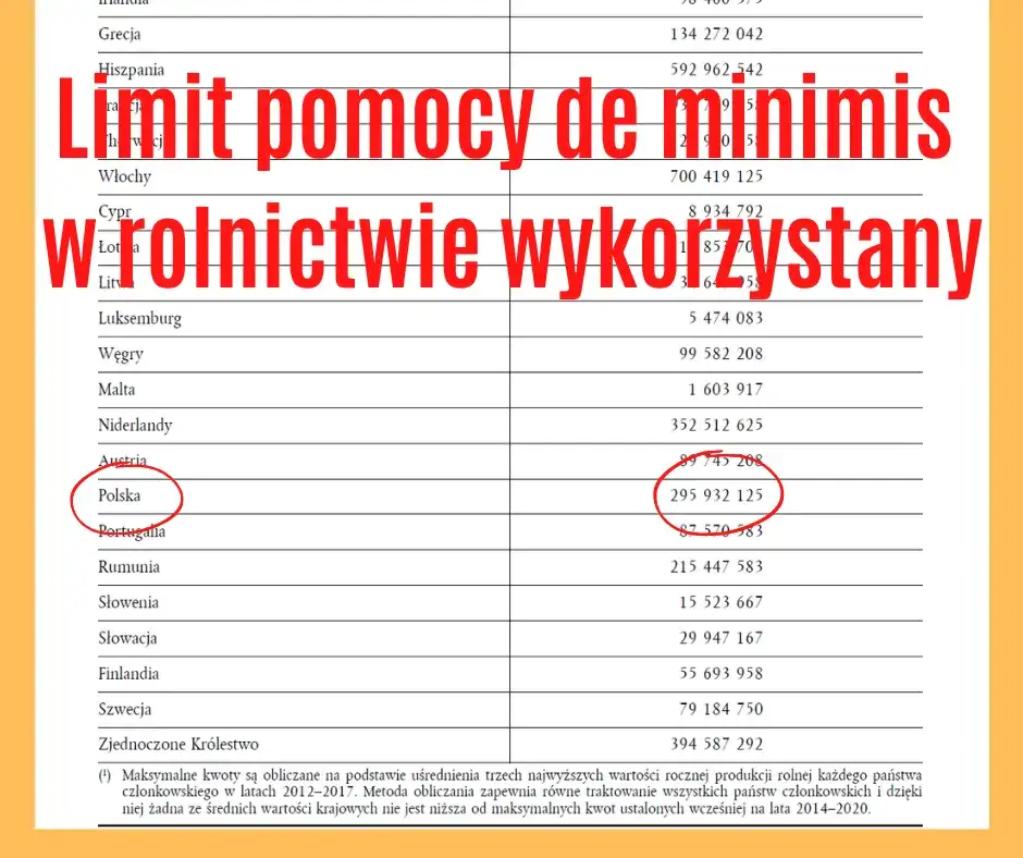 Zdjęcie Pomoc de minimis w rolnictwie: Jak sprawdzić dostępność i warunki?