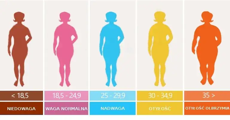 Zdjęcie BMI 29 co oznacza? Jakie zagrożenia zdrowotne niesie nadwaga?