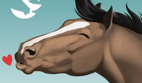 Zdjęcie Quizy jakim koniem jesteś - odkryj swoje końskie alter ego