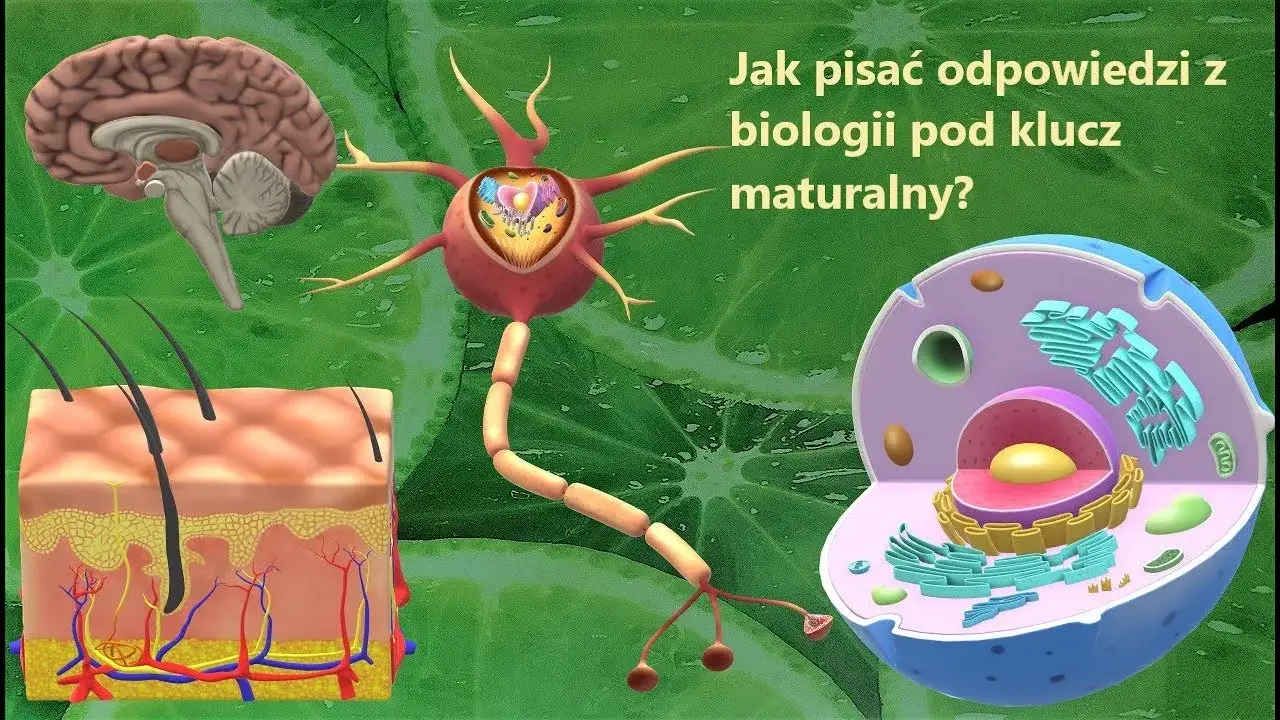 Zdjęcie Jak skutecznie przygotować się do matury z biologii i uniknąć błędów