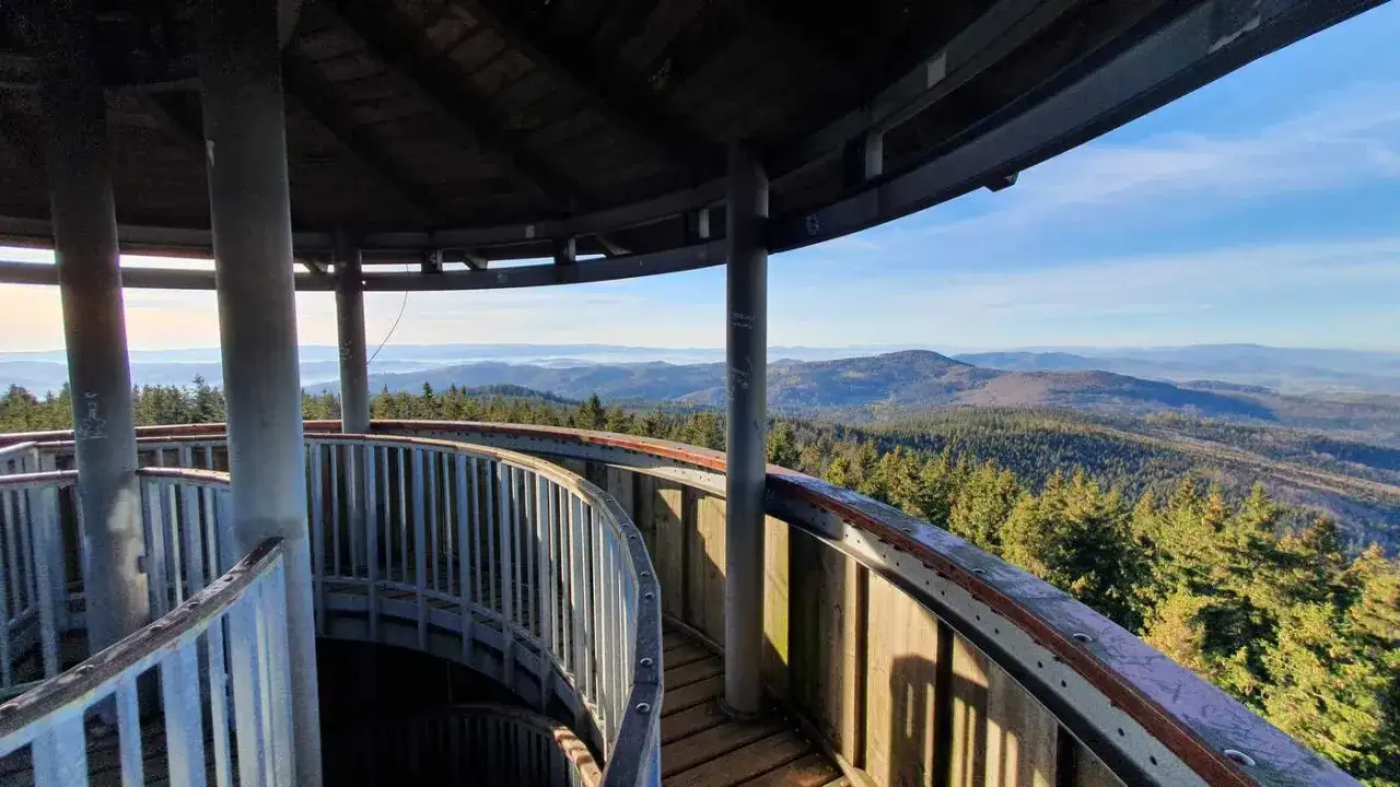 Zdjęcie Dlaczego warto wspiąć się na Górę Borówkową? Fascynujące sekrety