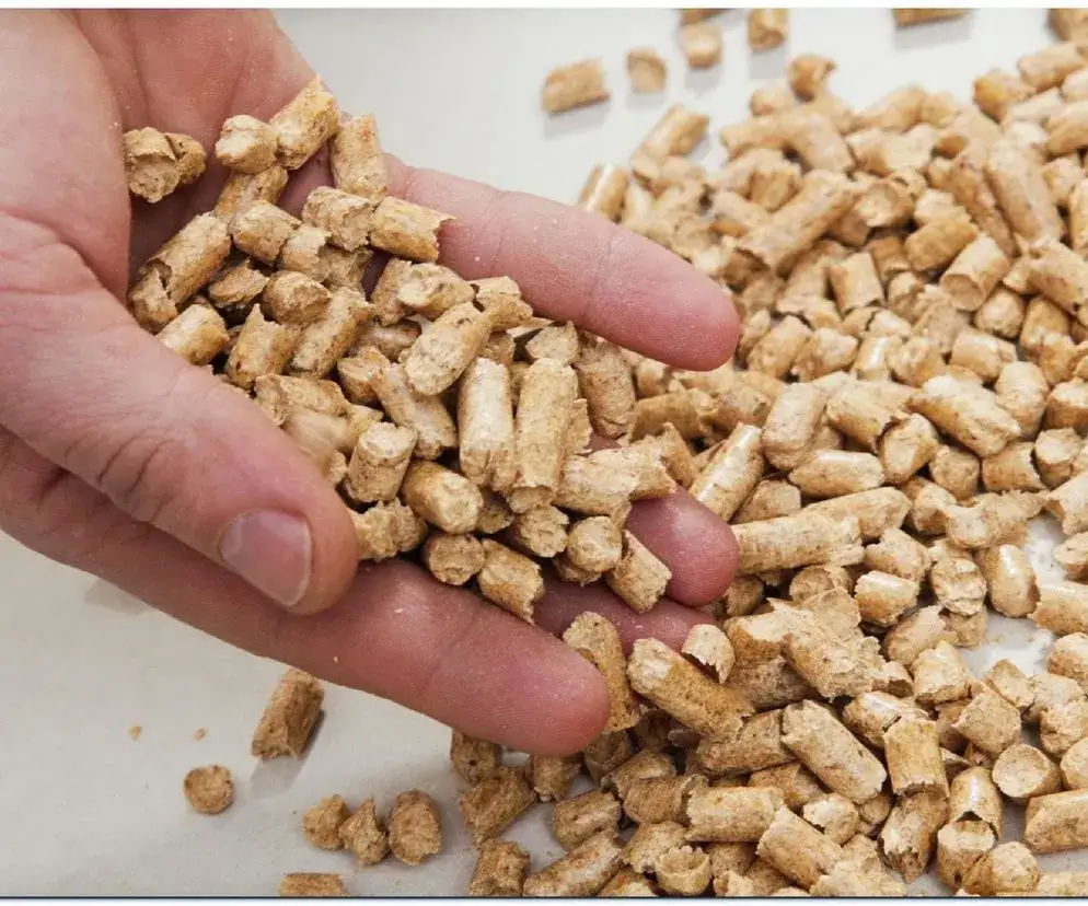 Zdjęcie Czy w piecu na pellet można palić drewnem – co musisz wiedzieć?