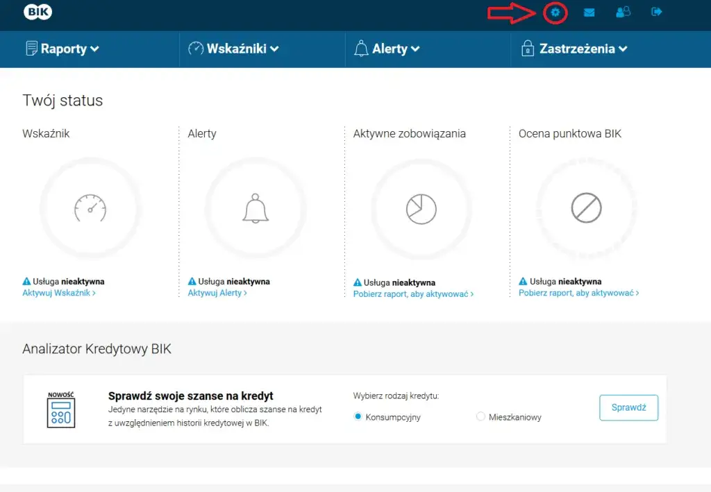 Zdjęcie Jak sprawdzić firmę w BIK i uniknąć finansowych pułapek