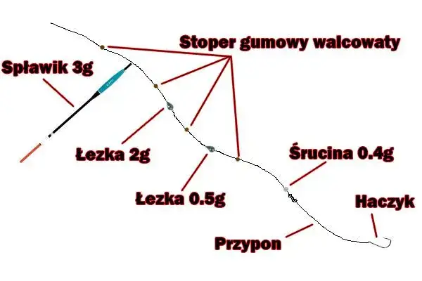 Zdjęcie Spławik na żywca ile gram – jak wybrać idealny ciężar dla ryb?