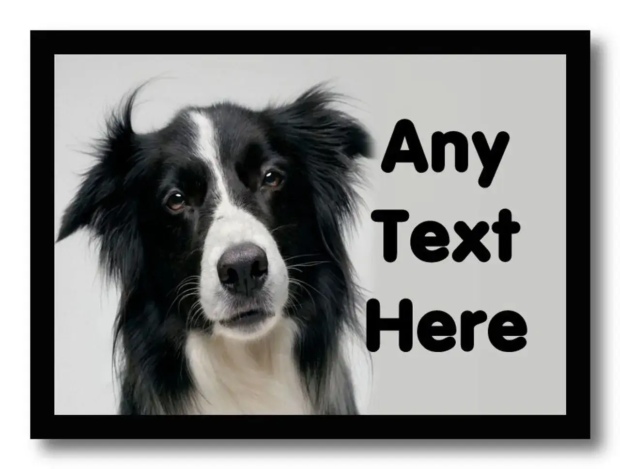 Zdjęcie Jak zrobić tabliczkę border collie: skuteczne oznaczenie posesji z psem