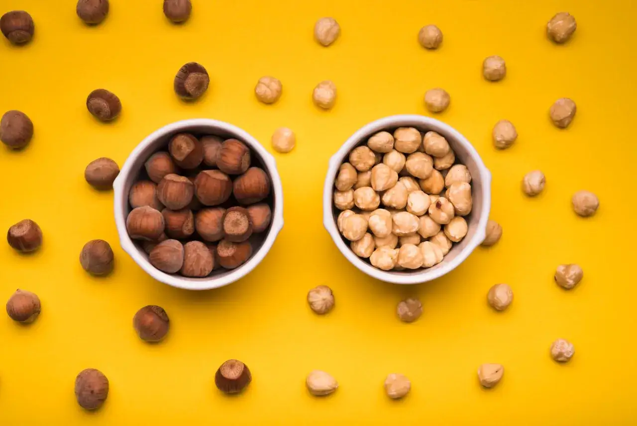 Zdjęcie Czy pies może jeść orzechy laskowe? Poznaj ryzyko i bezpieczne ilości