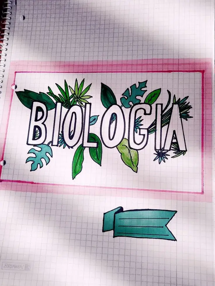 Zdjęcie Jak ozdobić zeszyt do biologii – kreatywne pomysły na atrakcyjne notatki