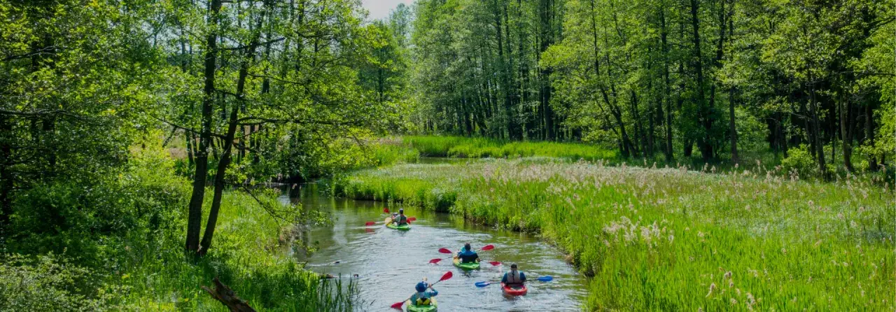 Zdjęcie Najlepsze trasy spływów kajakowych w Olsztynie – ceny i wynajem