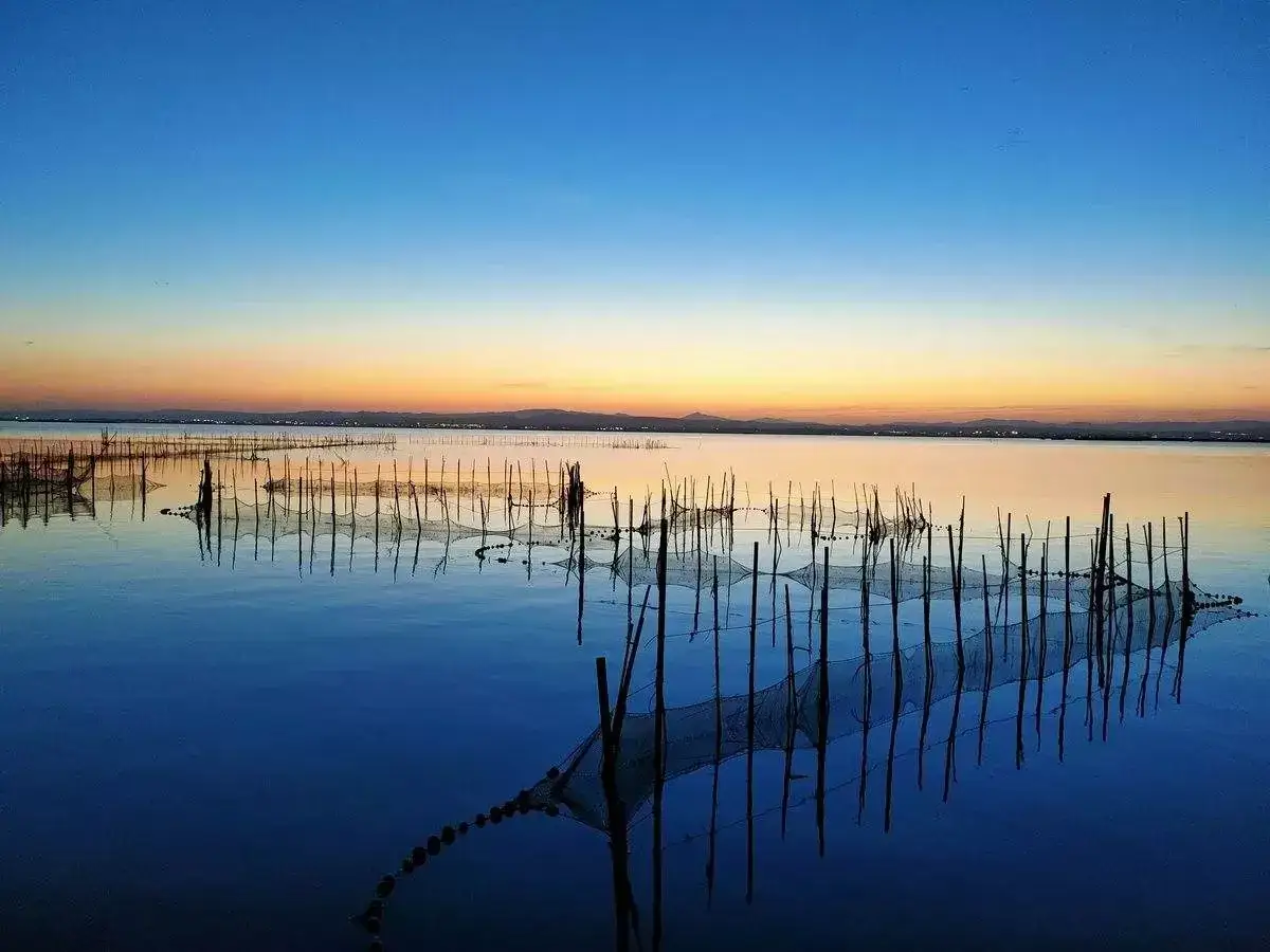 Zdjęcie Albufera de Valencia: tu gu&iacute;a para la paella, aves y atardecer m&aacute;gico