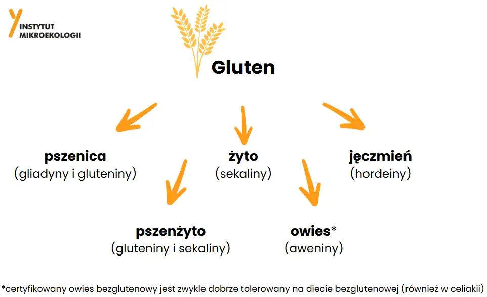 Zdjęcie W czym jest gluten i jak wpływa na zdrowie oraz dietę?