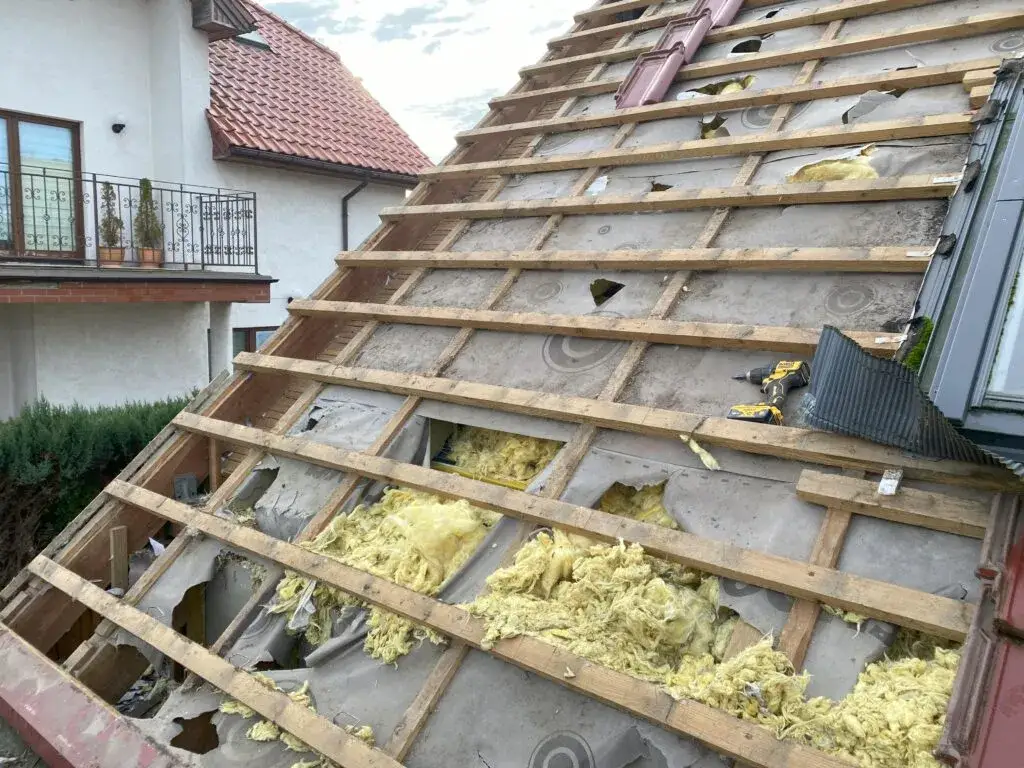 Zdjęcie Skuteczne sposoby na zabezpieczenie dachu przed kunami w Twoim domu