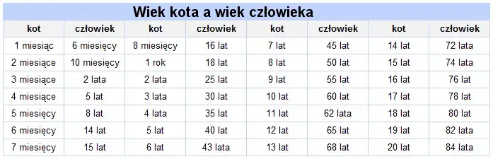 Zdjęcie Koci wiek kalkulator - Oblicz ile to wiek dla twojego kota
