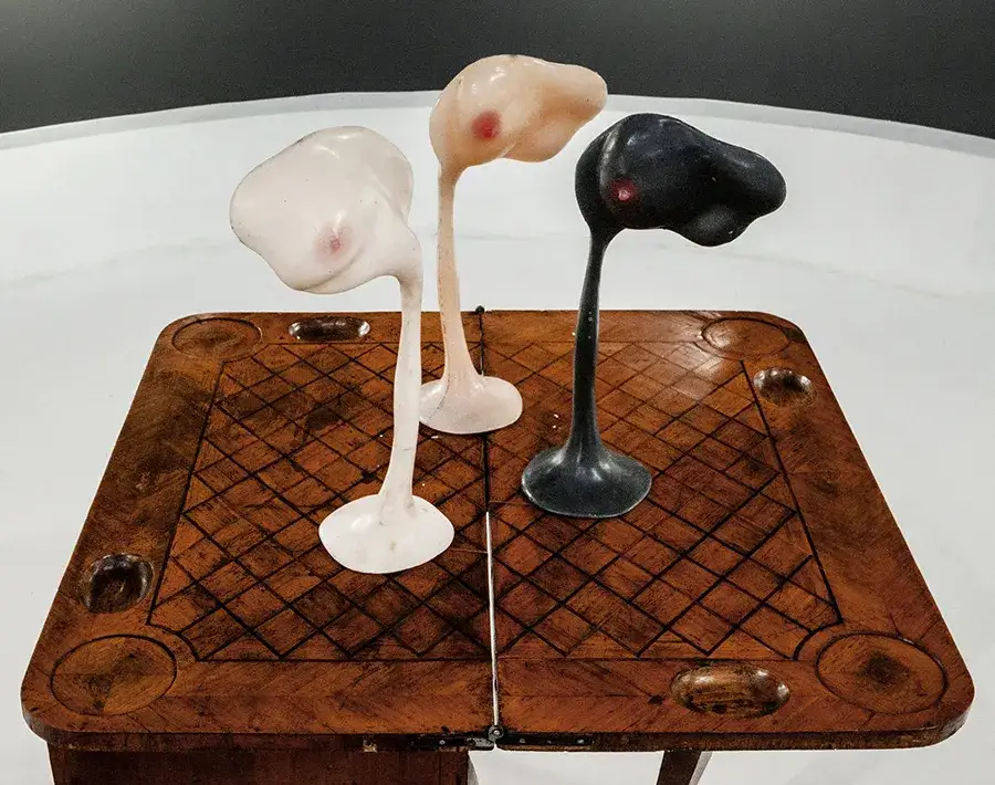 Zdjęcie Alina Szapocznikow rzeźby: odkryj ich niezwykły styl i znaczenie