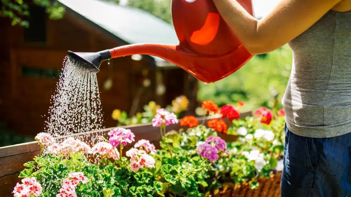 Zdjęcie La hora perfecta para regar las plantas y evitar que se sequen