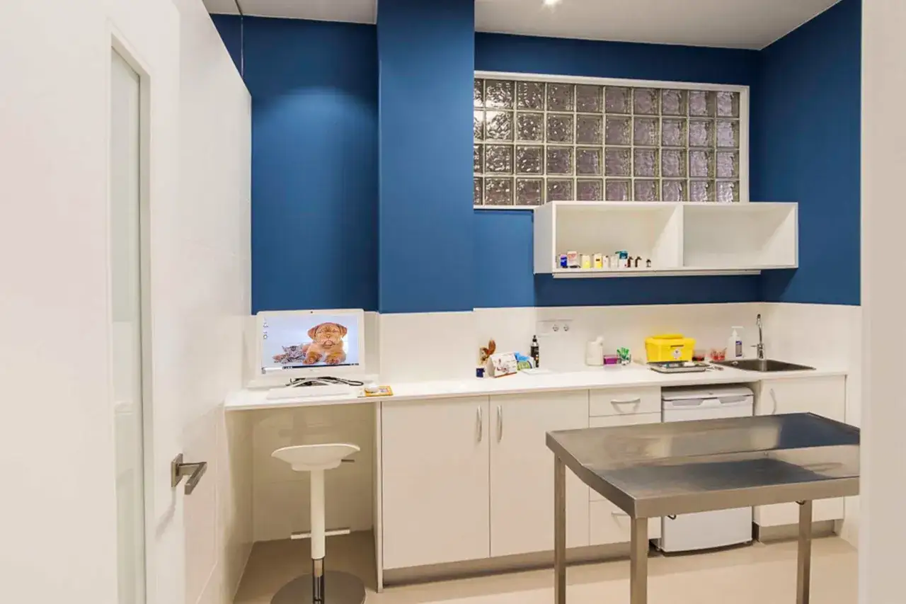 Zdjęcie Cl&iacute;nica veterinaria Los Cuartos: servicios, opiniones y ubicaci&oacute;n