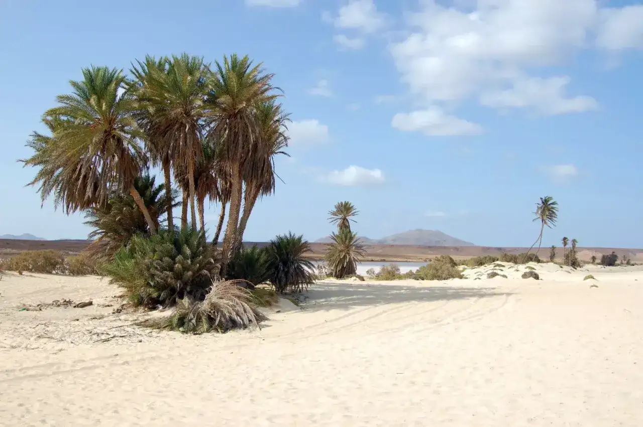 Zdjęcie Kiedy jechać na Wyspy Zielonego Przylądka, aby uniknąć tłumów?