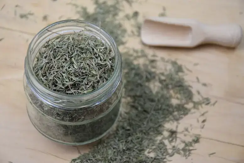 Zdjęcie Jak suszyć oregano w suszarce - proste kroki, by nie stracić smaku