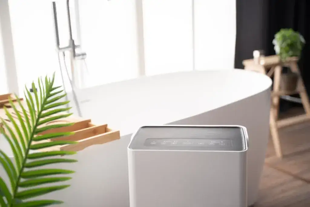 Zdjęcie Jaki osuszacz powietrza do łazienki wybrać, aby uniknąć pleśni?