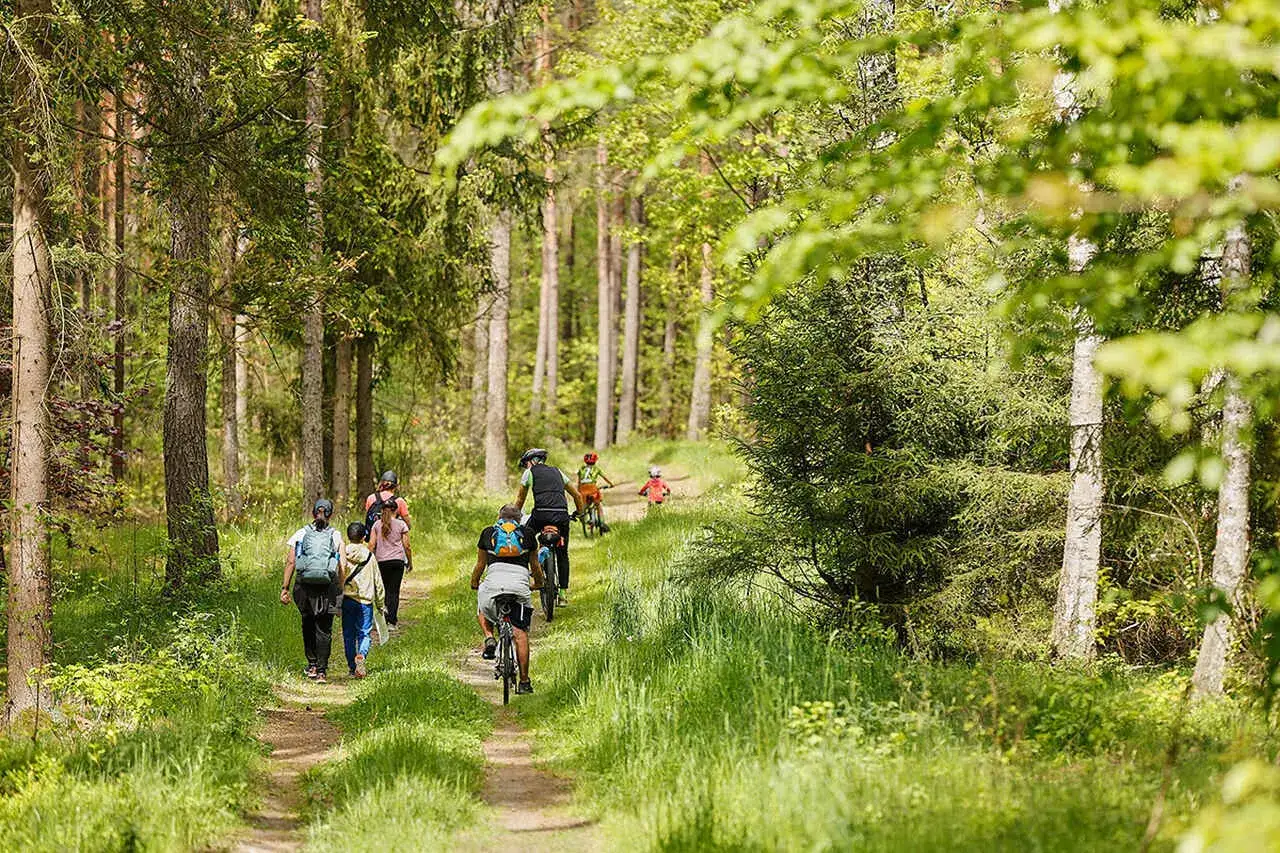 Zdjęcie Łynostrada trasa rowerowa – odkryj najpiękniejsze miejsca Warmii i Mazur