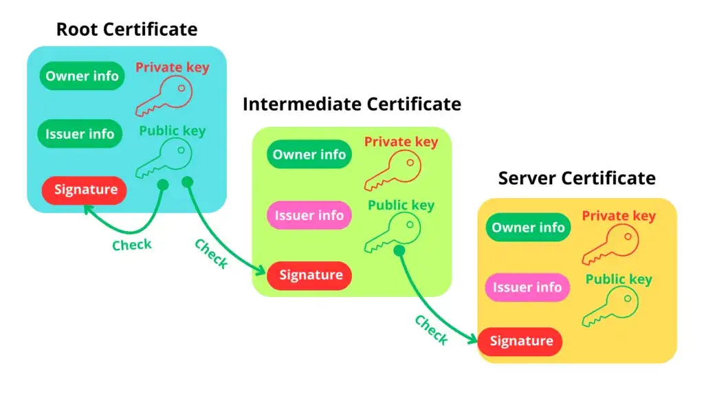 Zdjęcie Certyfikat klucza publicznego: jak działa, do czego służy i jak go zdobyć bezpiecznie