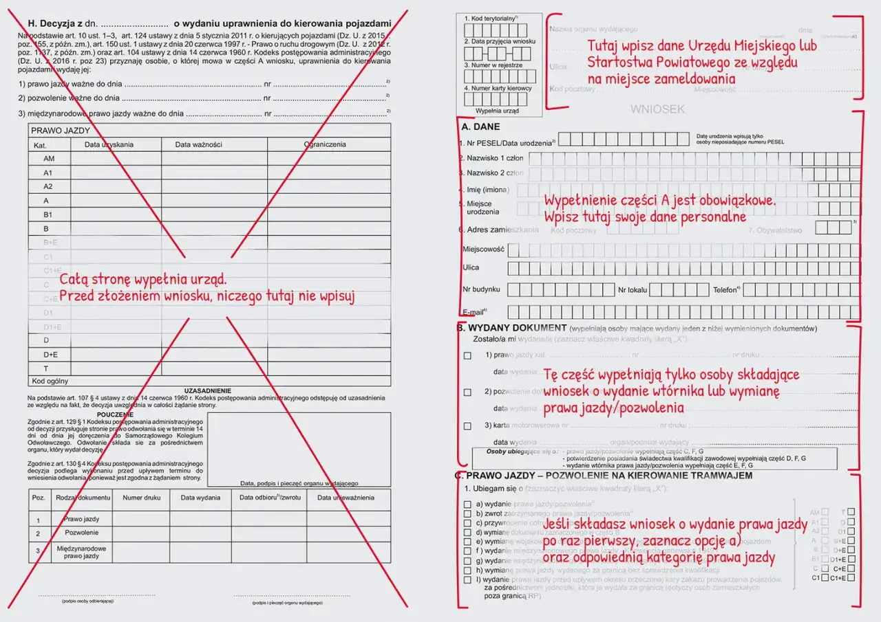 Zdjęcie Czas oczekiwania na prawo jazdy - co musisz wiedzieć, by uniknąć opóźnień