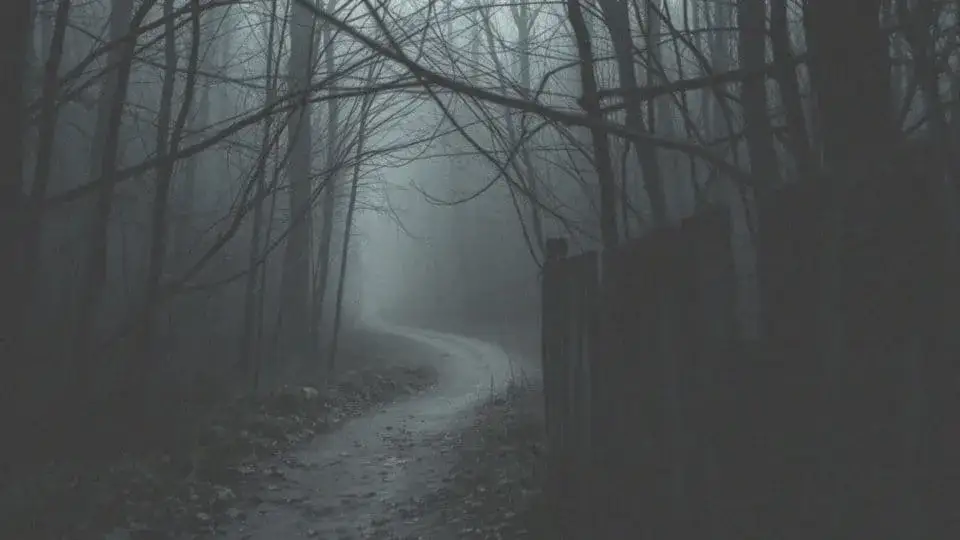 Zdjęcie Sen o gwałcie: Co oznacza? Psychologia i sennik