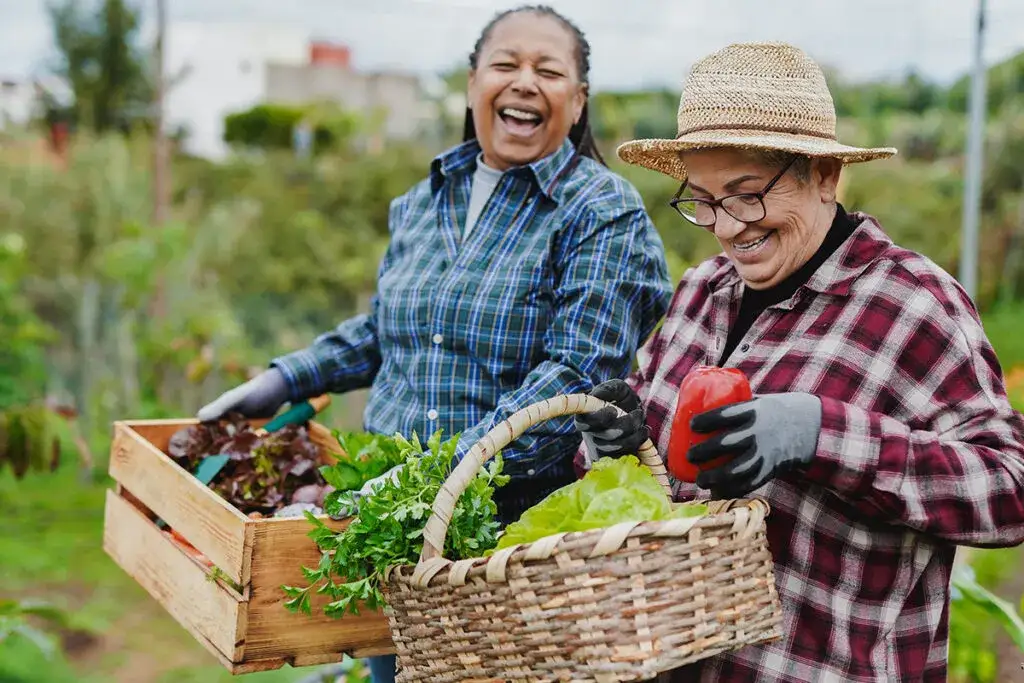Zdjęcie Jurajskie Centrum Seniora jak w domu - kompleksowa opieka dla seniorów