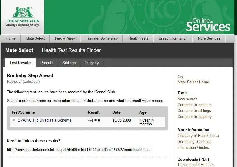 Zdjęcie Jak sprawdzić hodowlę w Związku Kynologicznym i uniknąć oszustw