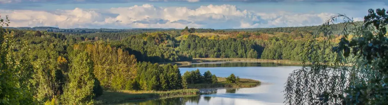 Zdjęcie Szlaki w Borowej Dolinie: co warto zobaczyć