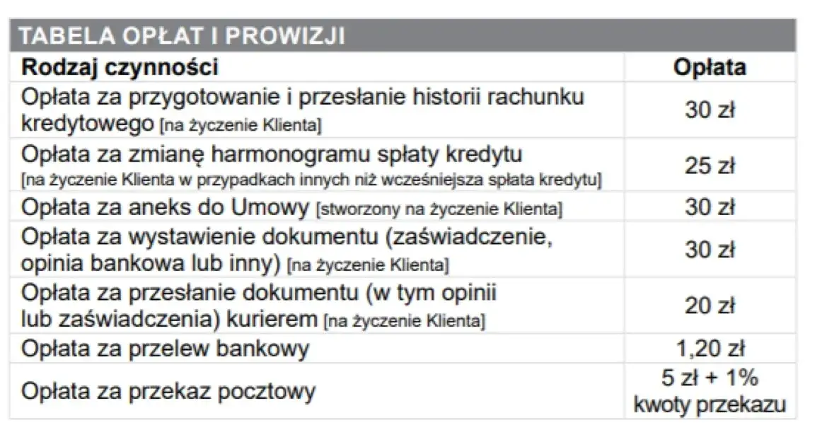 Zdjęcie Prawda o ratach i pełne opinie klientów - co musisz wiedzieć przed decyzją