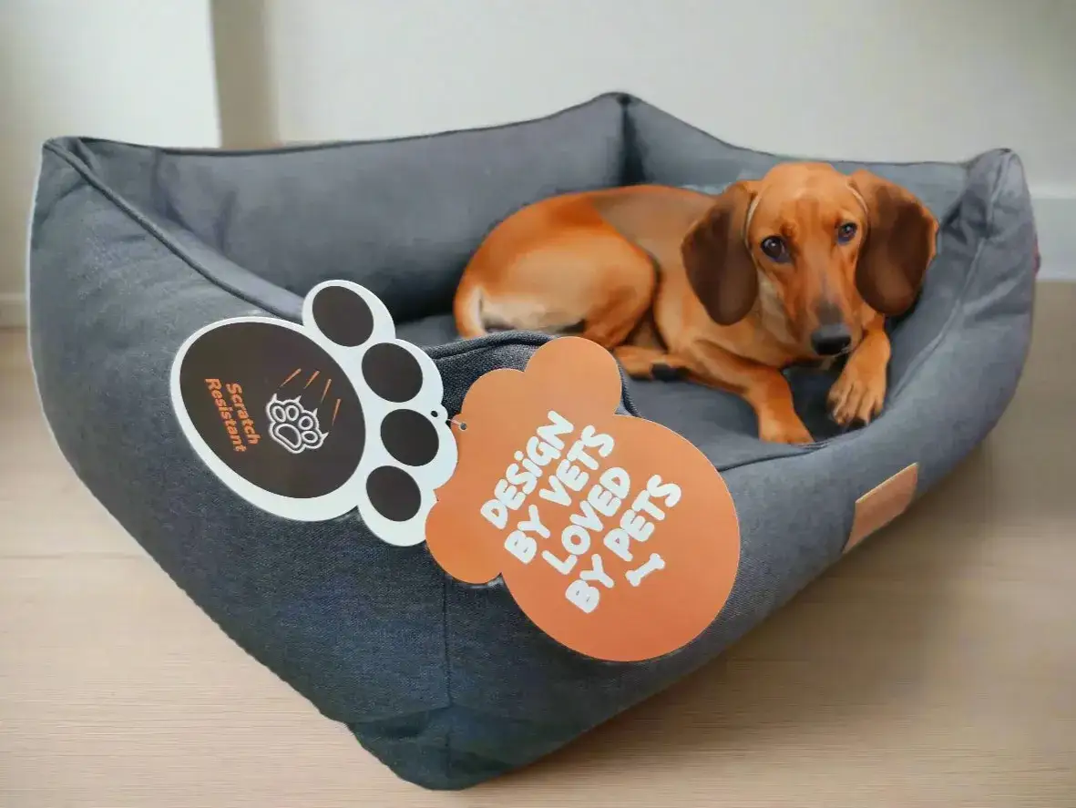 Zdjęcie Jakie legowisko dla psa wybrać, by zapewnić mu komfort i zdrowie