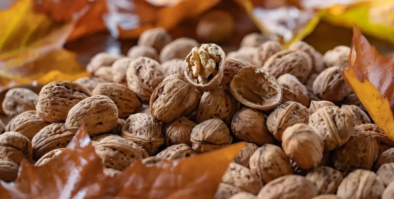 Zdjęcie Jak prawidłowo suszyć orzechy włoskie w piekarniku: kompletna instrukcja