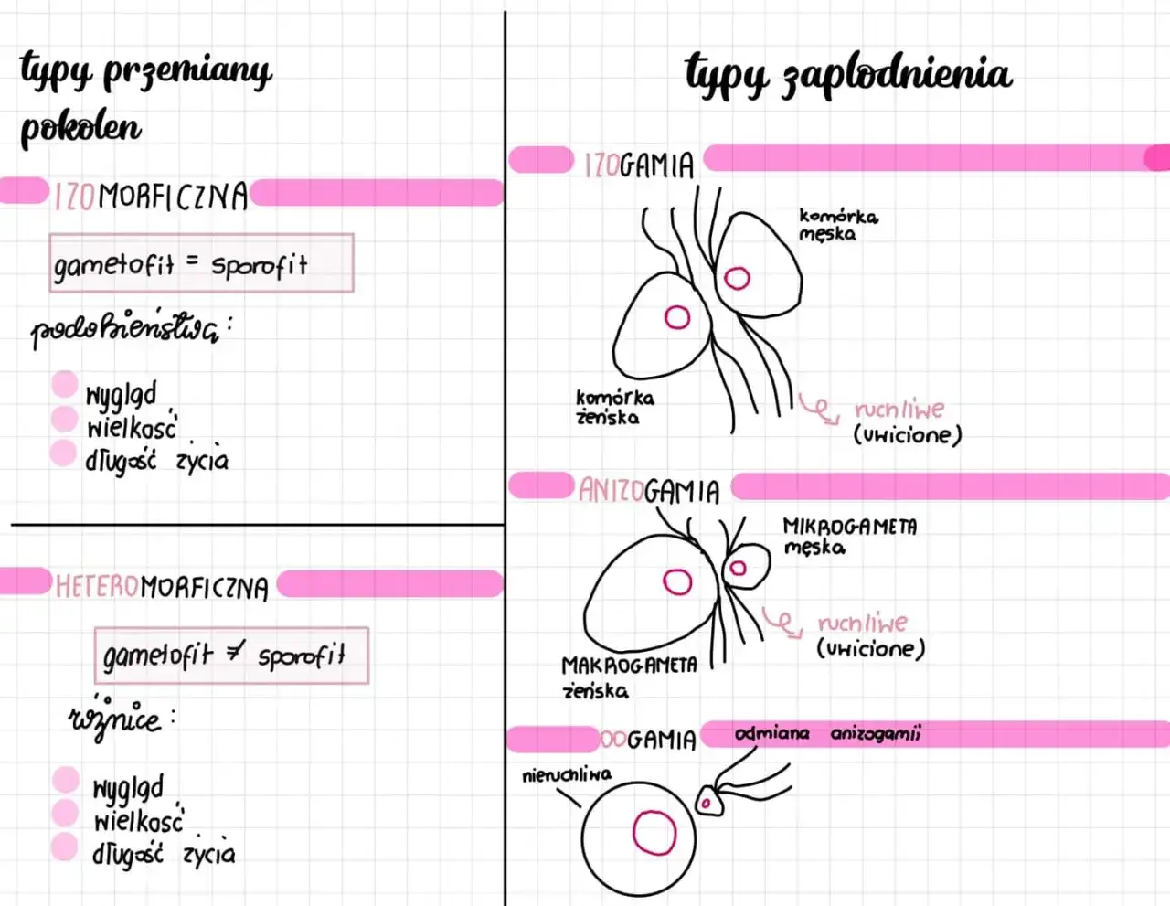 Zdjęcie Jak rozmnażają się protisty? Odkryj fascynujące metody ich reprodukcji