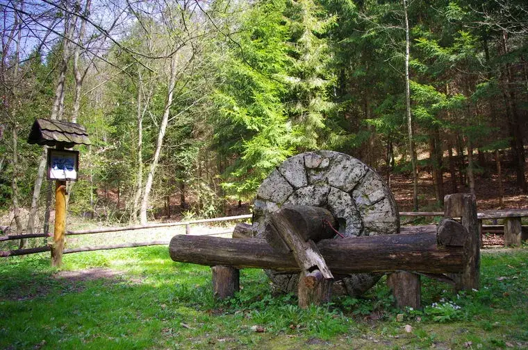 Zdjęcie Najlepsze atrakcje w Kaliszu Pomorskim, które musisz zobaczyć