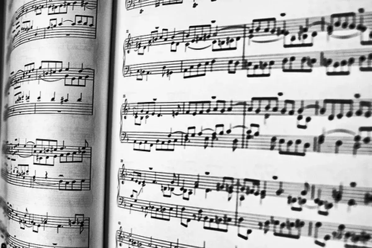 Zdjęcie Fuga co to jest? Odpowiedź w tym artykule