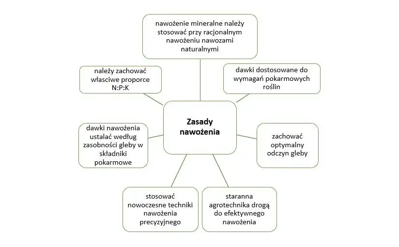 Zdjęcie Jak stosować naturalny nawóz potasowy - skuteczne techniki