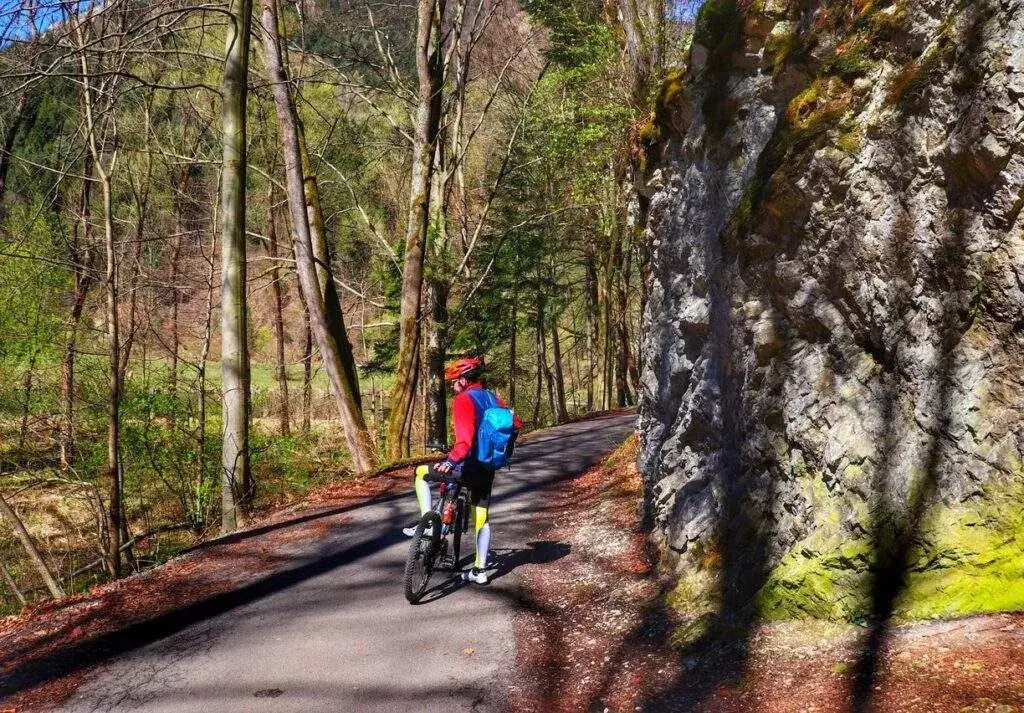 Zdjęcie Trasa rowerowa Sromowce Niżne Szczawnica: przebieg, atrakcje i porady dla rowerzystów