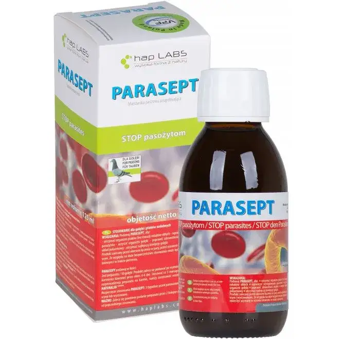 Zdjęcie Kiedy odrobaczać gołębie: Skuteczne terminy i częstotliwość zabiegów