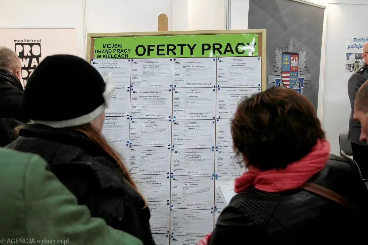 Zdjęcie Zasiłek dla bezrobotnych po umowie zlecenie: warunki i prawa