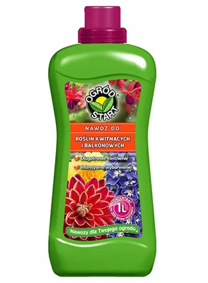 Zdjęcie Jaki nawóz do pelargonii, aby zapewnić piękne kwitnienie i zdrowie?