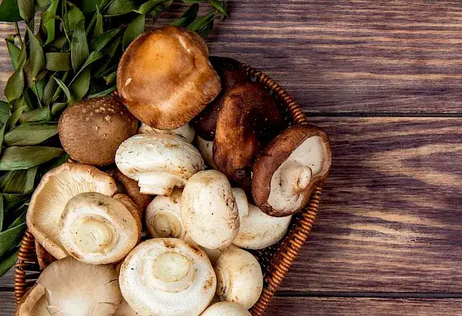 Zdjęcie Ile kalorii mają grzyby: wartości odżywcze i kaloryczność popularnych gatunków