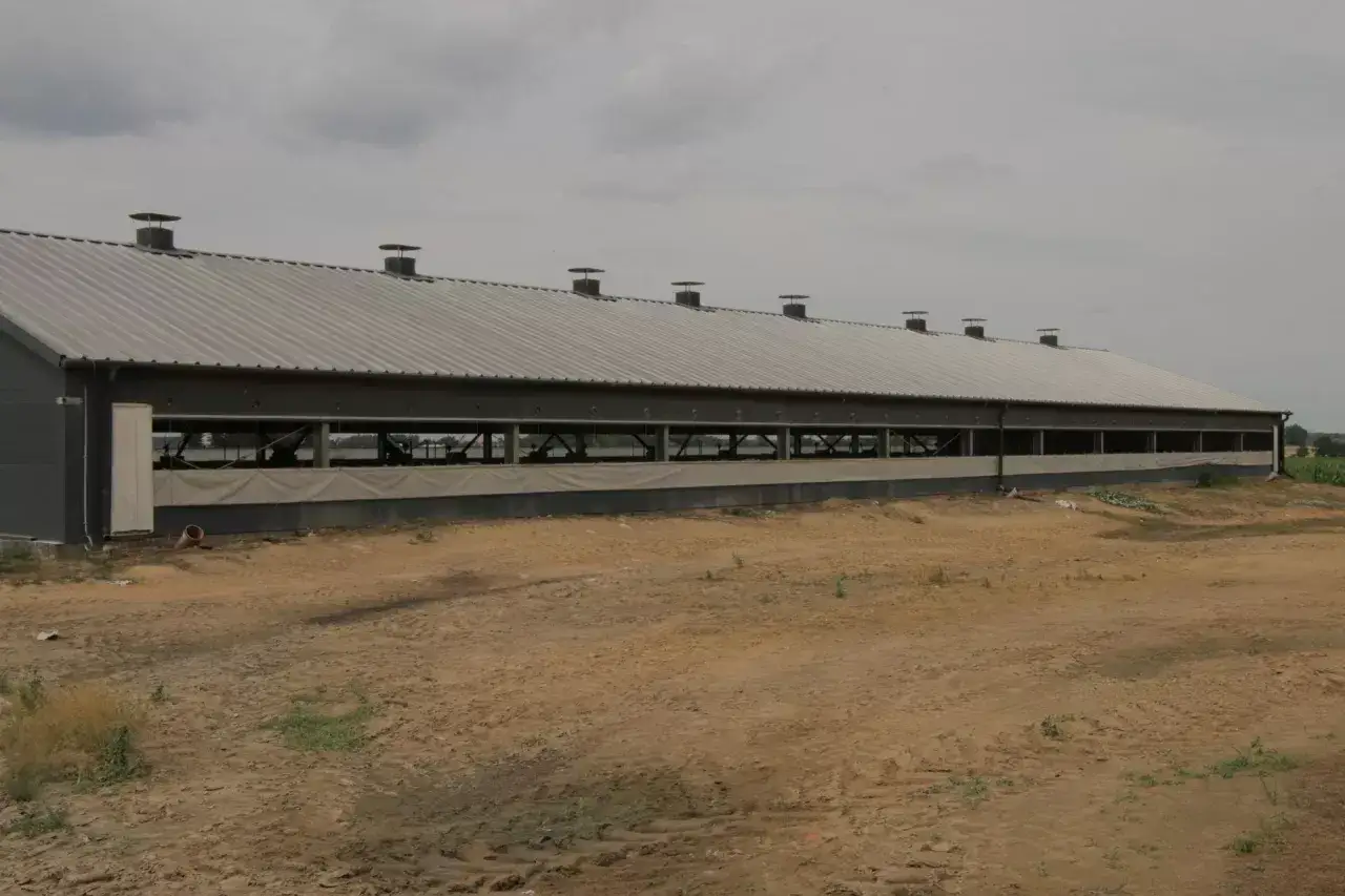 Zdjęcie Ile kosztuje budowa chlewni? Poznaj szczegółowy kosztorys