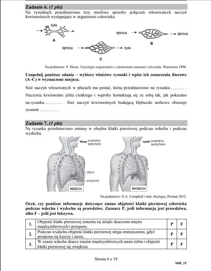 Zdjęcie Jak skutecznie przygotować się do matury z biologii i uniknąć błędów