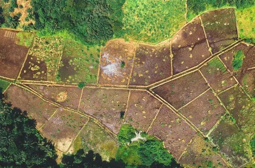 Zdjęcie Działka siedliskowa – kto naprawdę może ją kupić i co warto wiedzieć