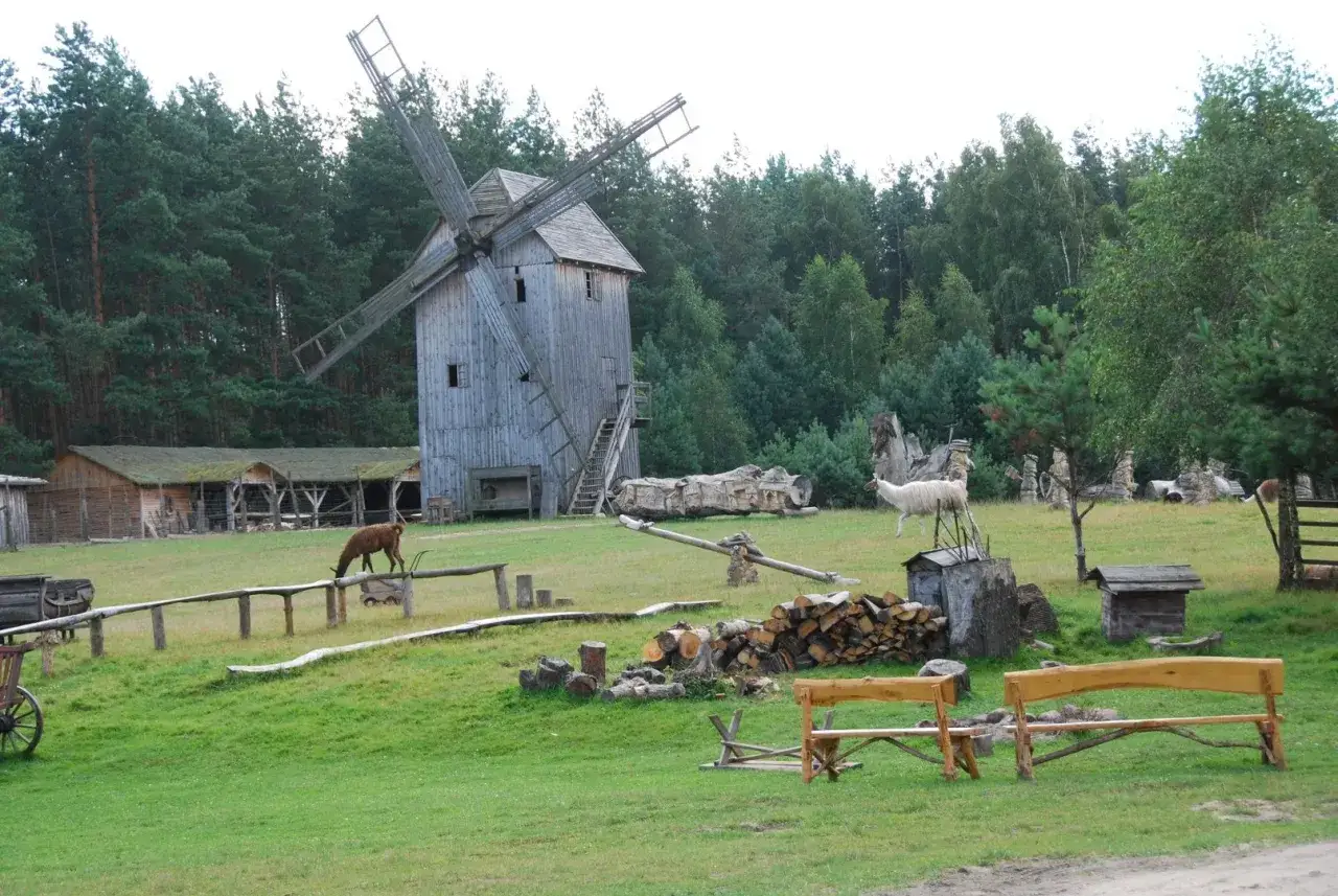 Zdjęcie Jak założyć zagrodę edukacyjną i uniknąć najczęstszych błędów