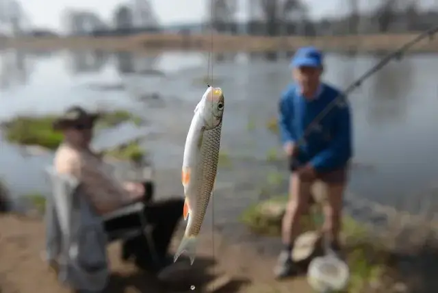Zdjęcie Gdzie można łowić ryby z kartą wędkarską? Odkryj najlepsze miejsca