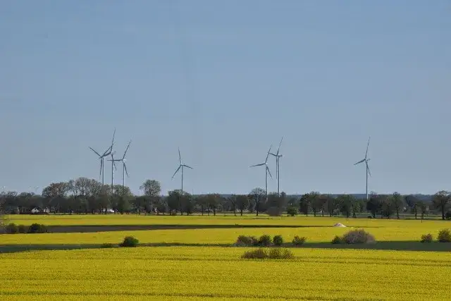 Zdjęcie Elektrownia Malbork: Historia, działanie i edukacja o energii