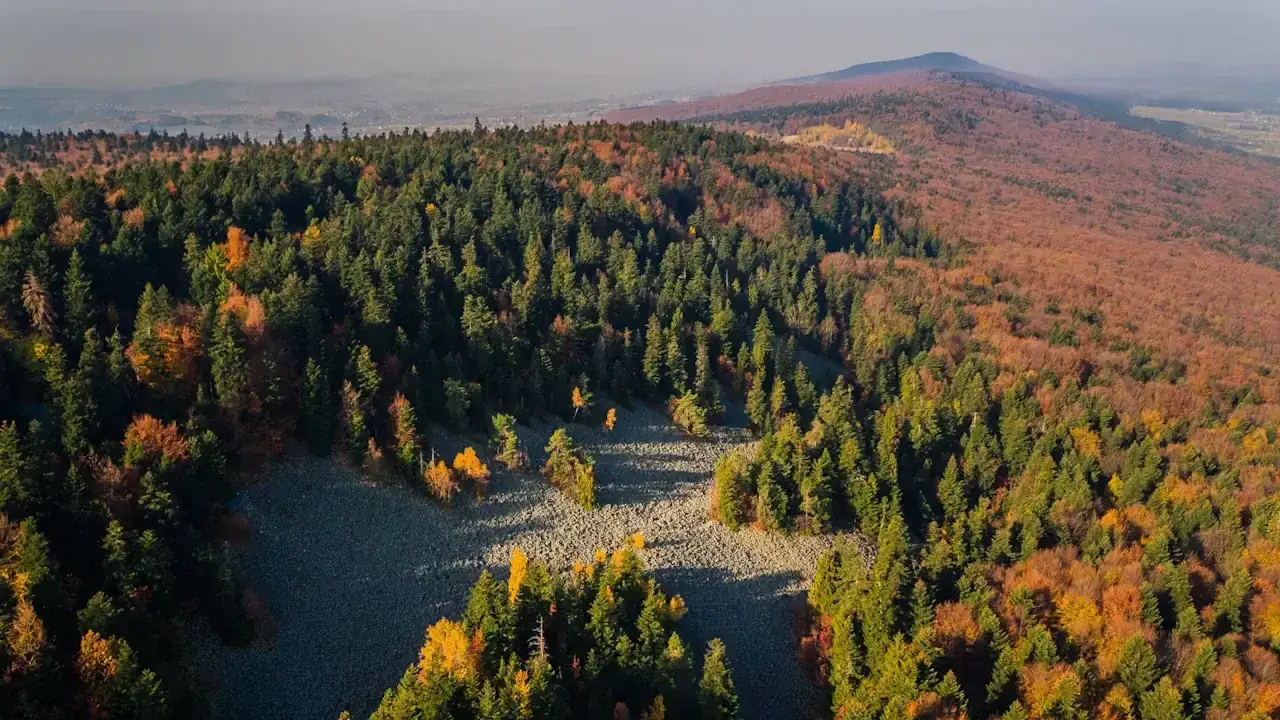 Zdjęcie Świętokrzyski Park Narodowy - miejsca, które musisz zobaczyć