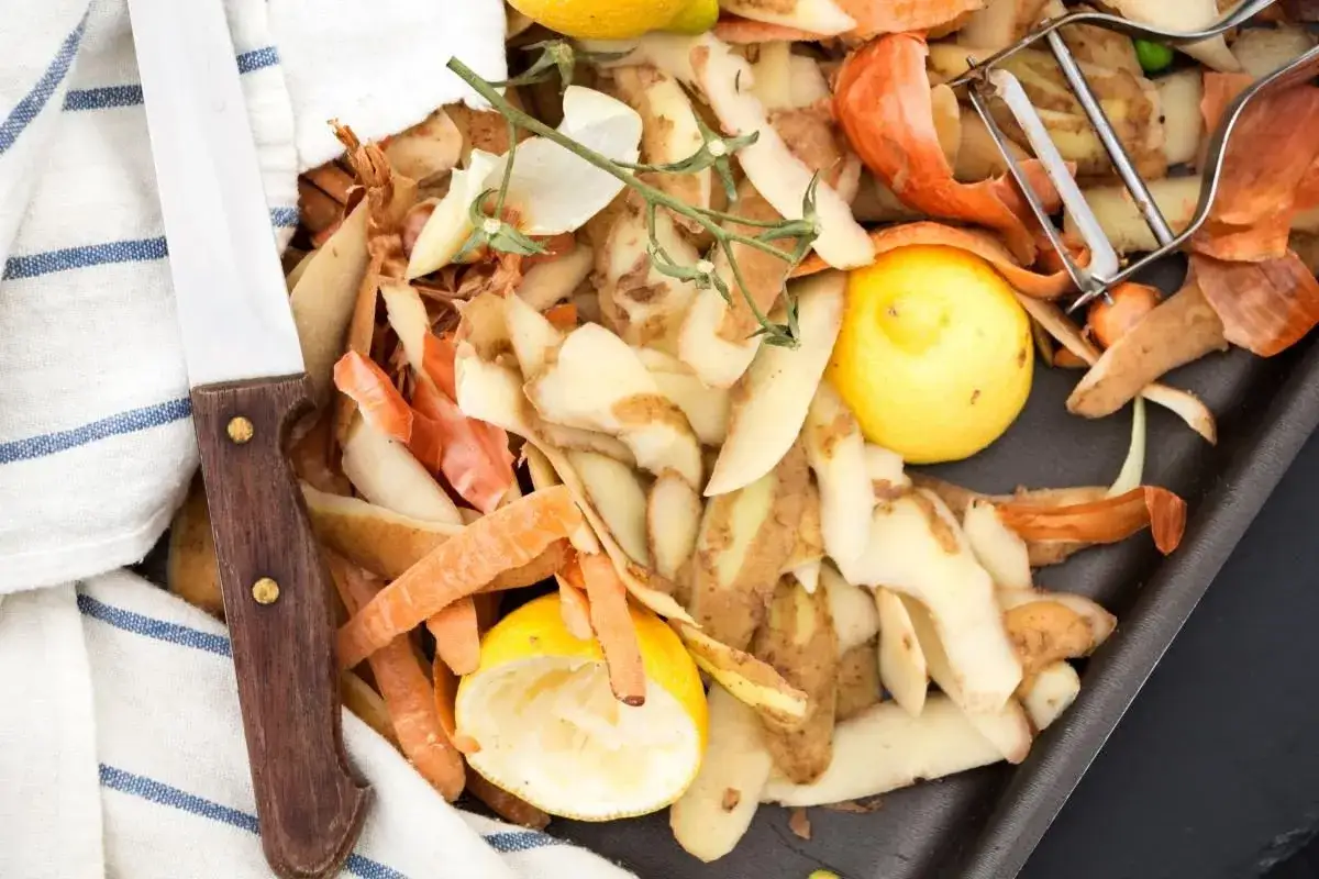 Zdjęcie Co ugotować z niczego? Proste przepisy z resztek, które zaskoczą