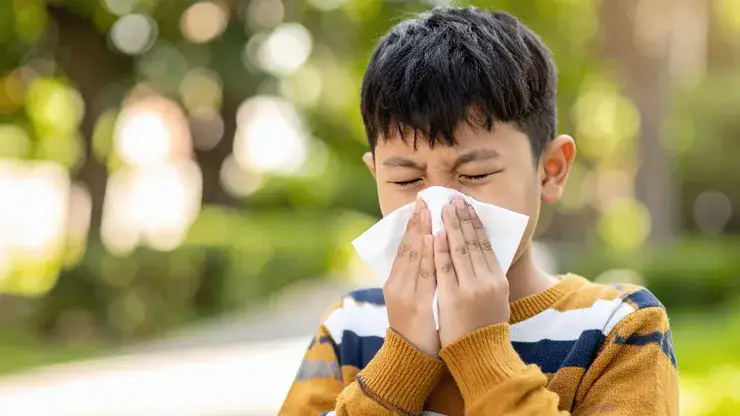 Zdjęcie Alergia na pyłki: objawy, r&oacute;żnice z przeziębieniem i skuteczne sposoby